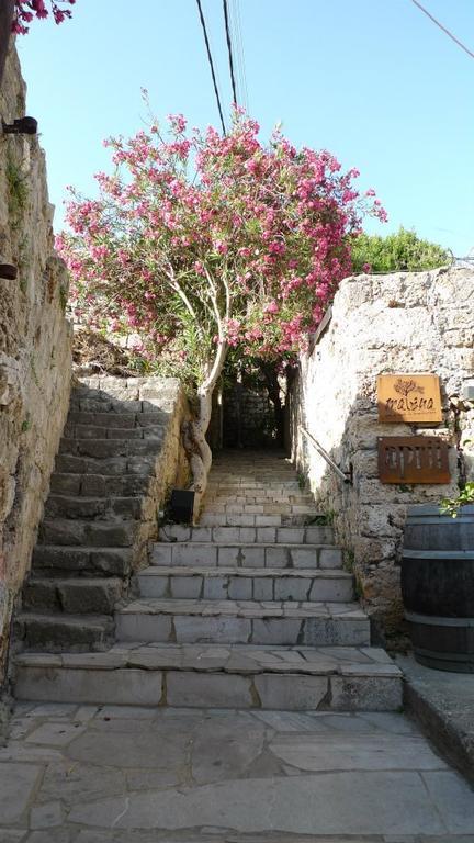 Byblos Fishing Club Guesthouse Buitenkant foto